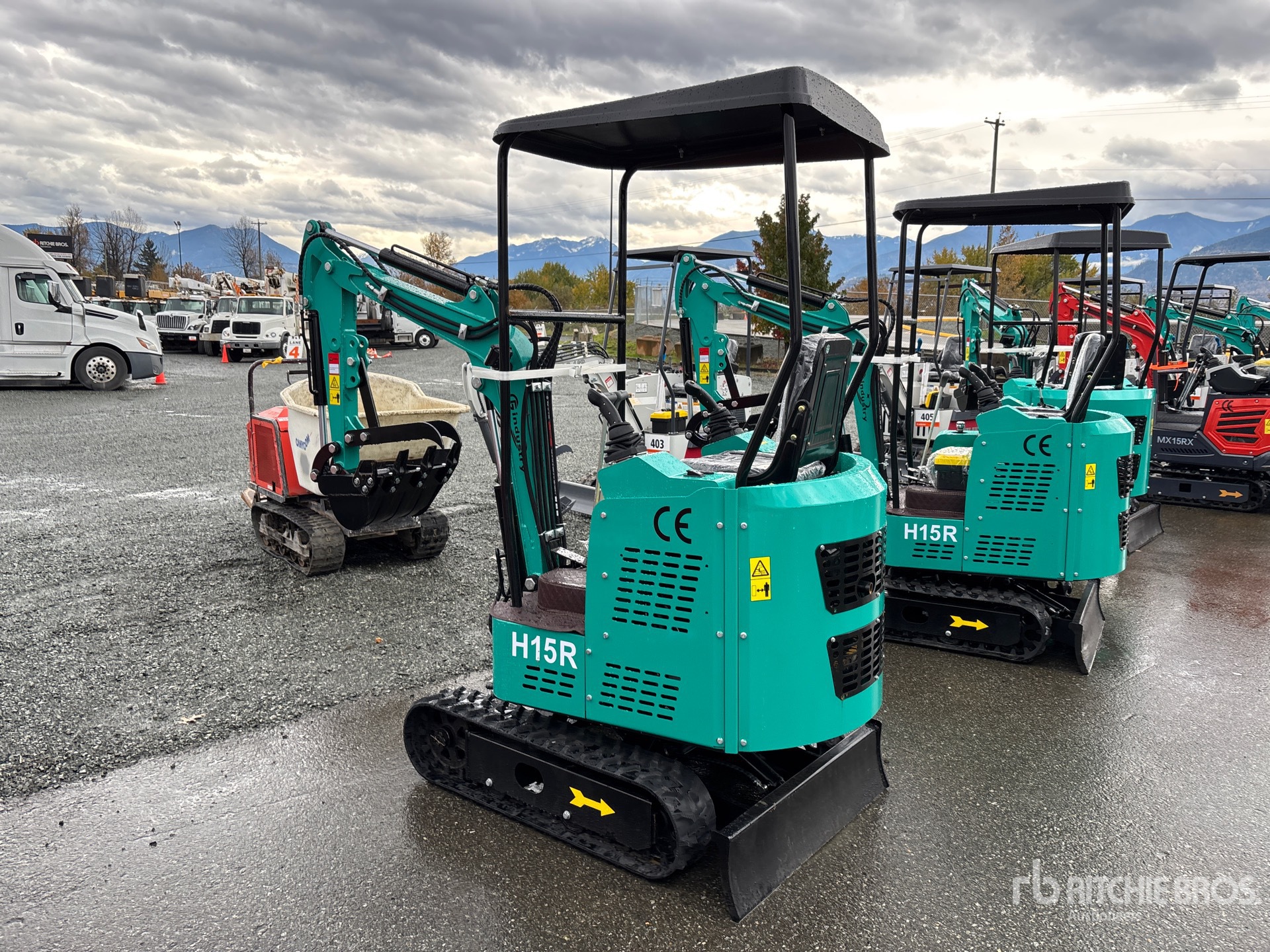 General Appearance with Zdjęcie, lewy dolny róg