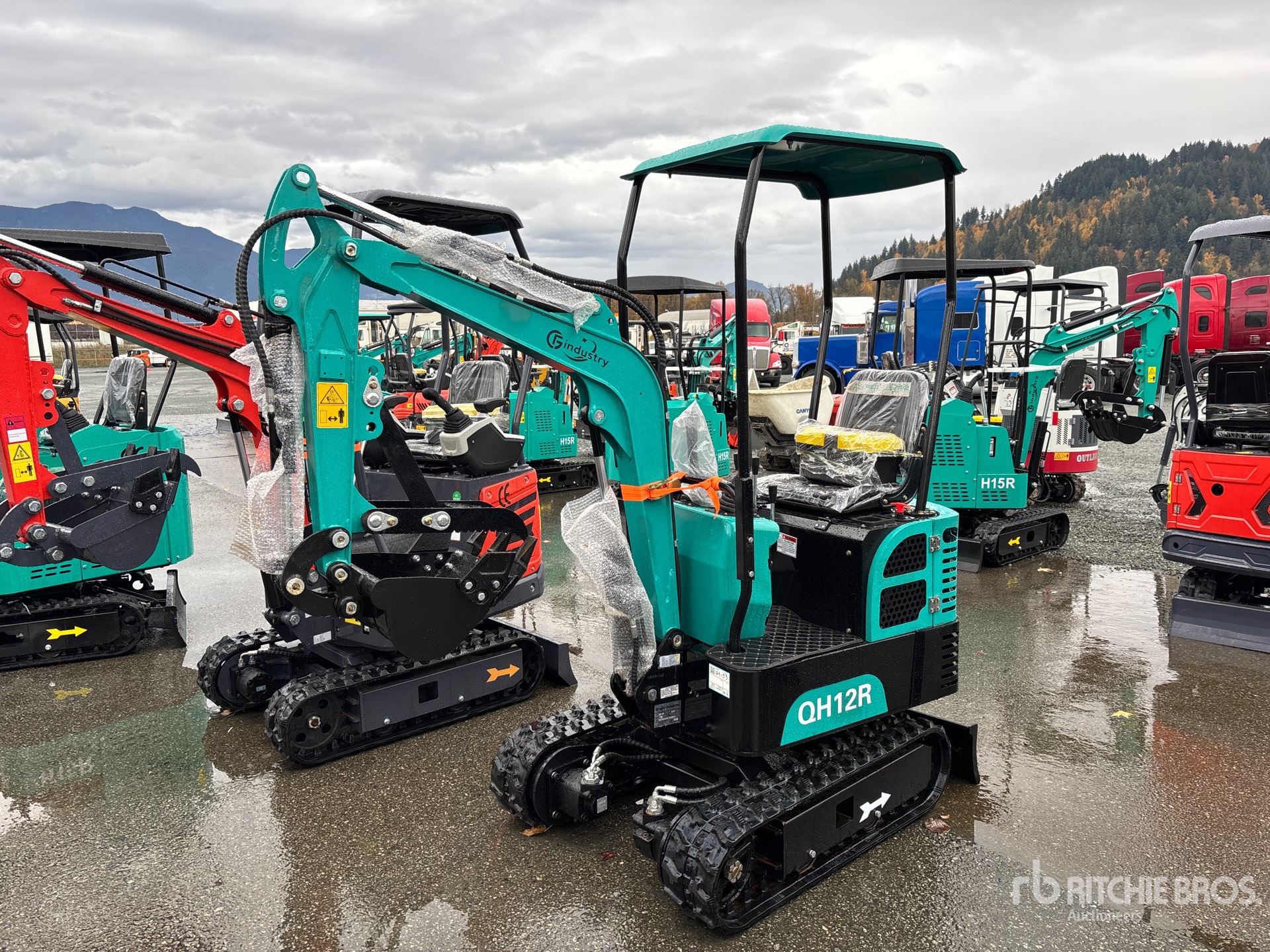 General Appearance with Image, coin avant gauche