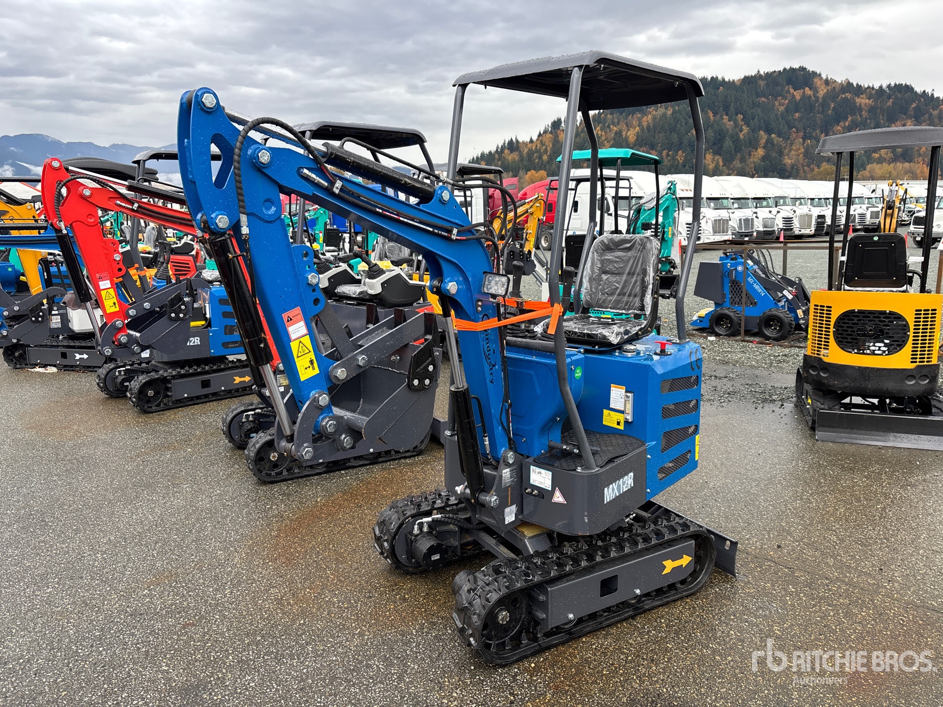 General Appearance with Picture, Left Front Corner