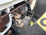 Motor with 