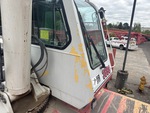 General Appearance with Paint