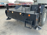 General Appearance with Paint