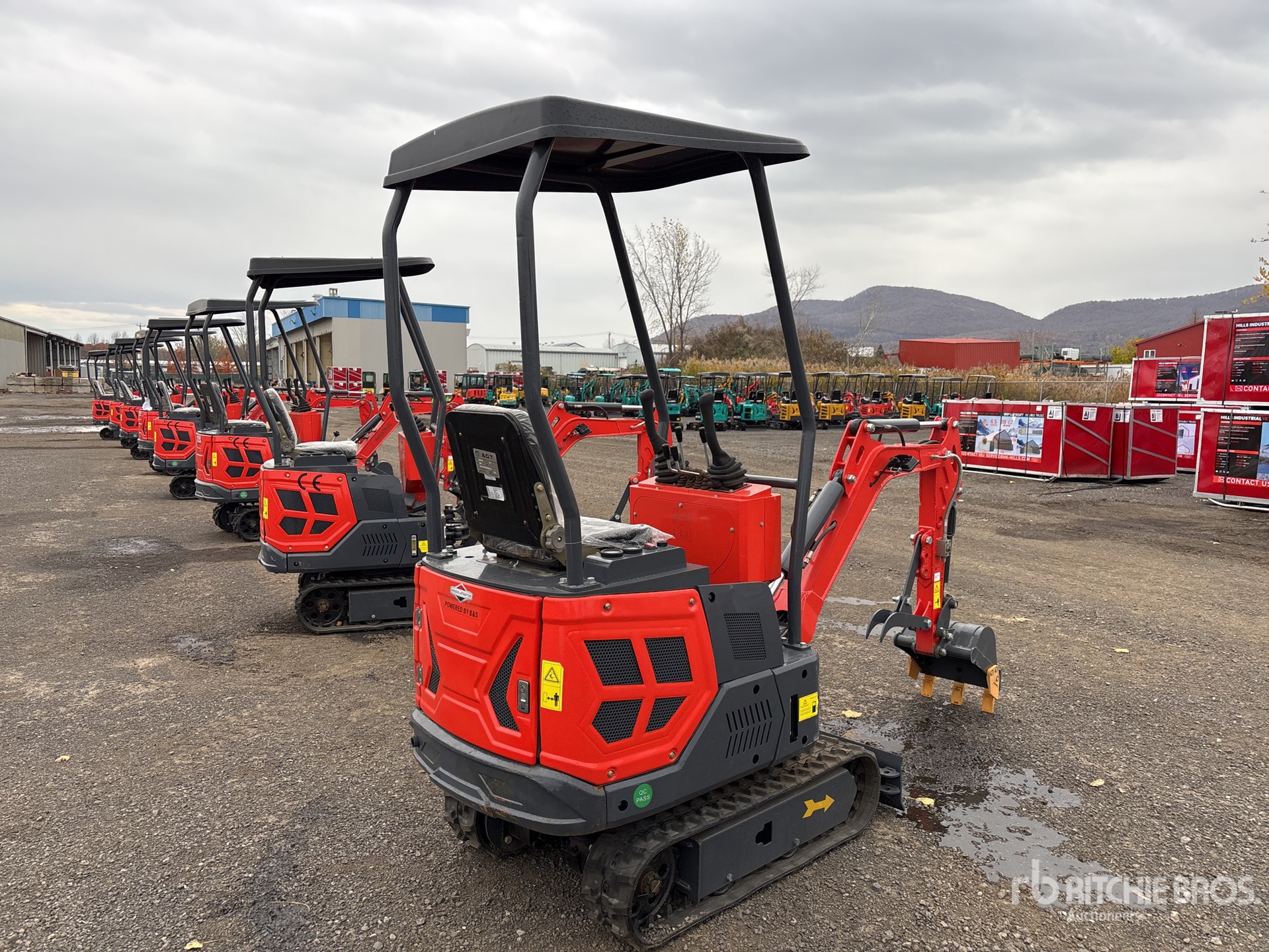 General Appearance with Zdjęcie, prawy dolny róg