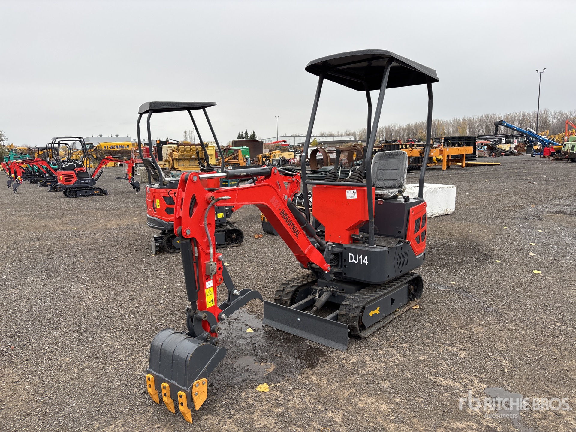 General Appearance with Zdjęcie, lewy górny róg