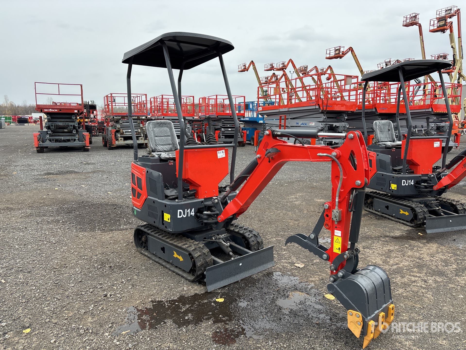 General Appearance with Zdjęcie, prawy górny róg