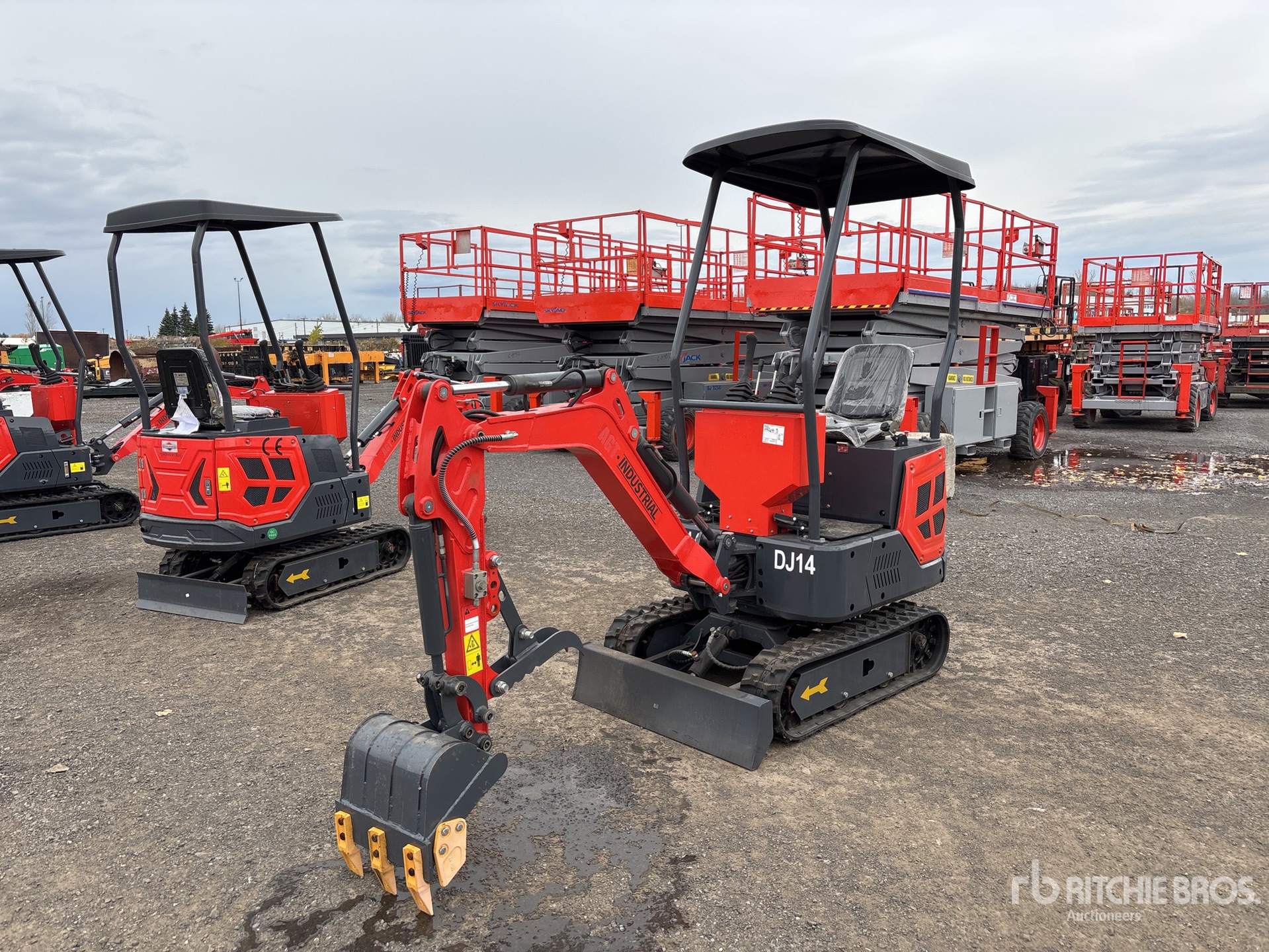 General Appearance with Zdjęcie, lewy górny róg