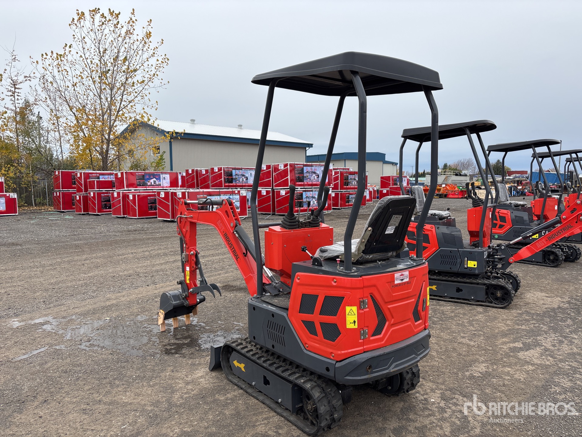 General Appearance with Zdjęcie, lewy dolny róg