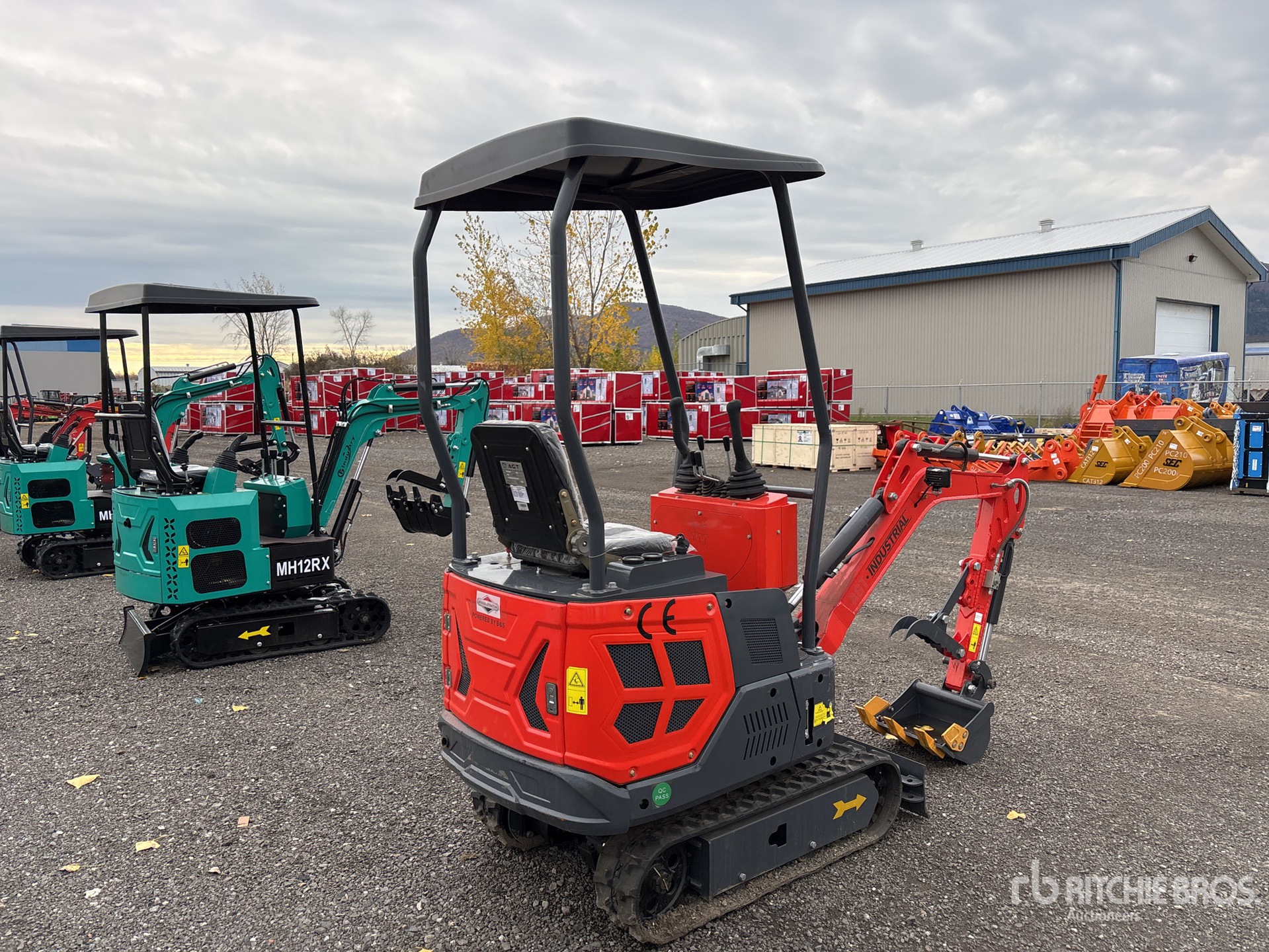 General Appearance with Zdjęcie, prawy dolny róg