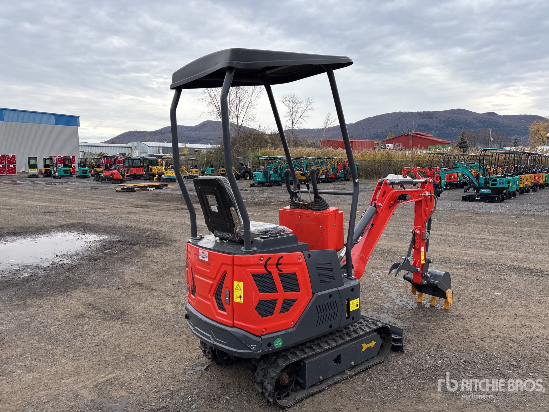 General Appearance with Zdjęcie, prawy dolny róg