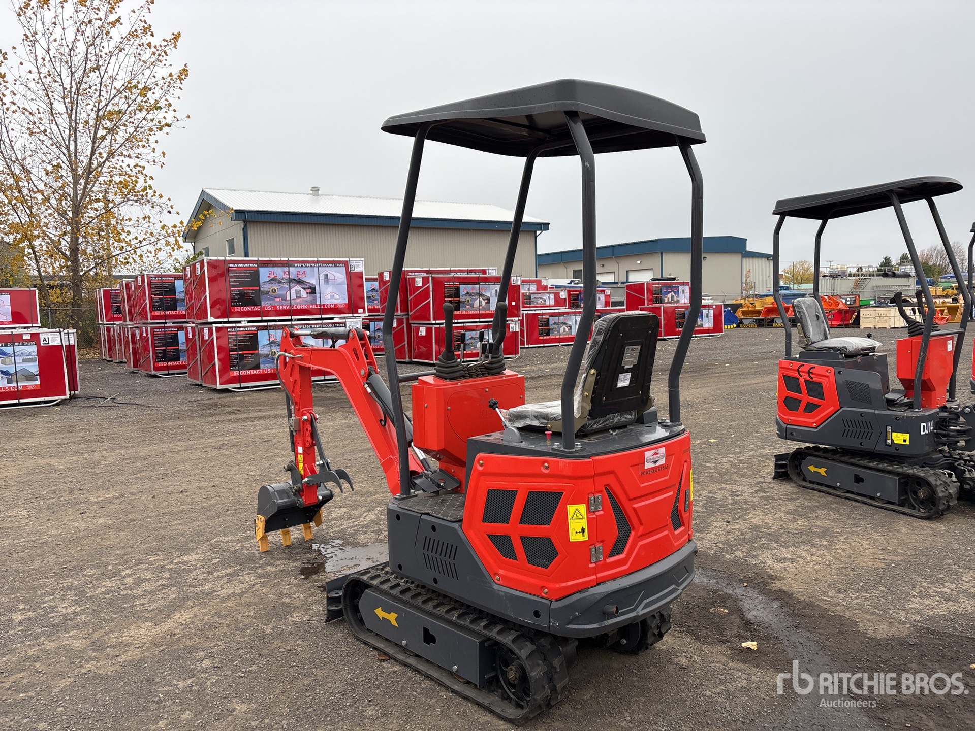 General Appearance with Zdjęcie, lewy dolny róg