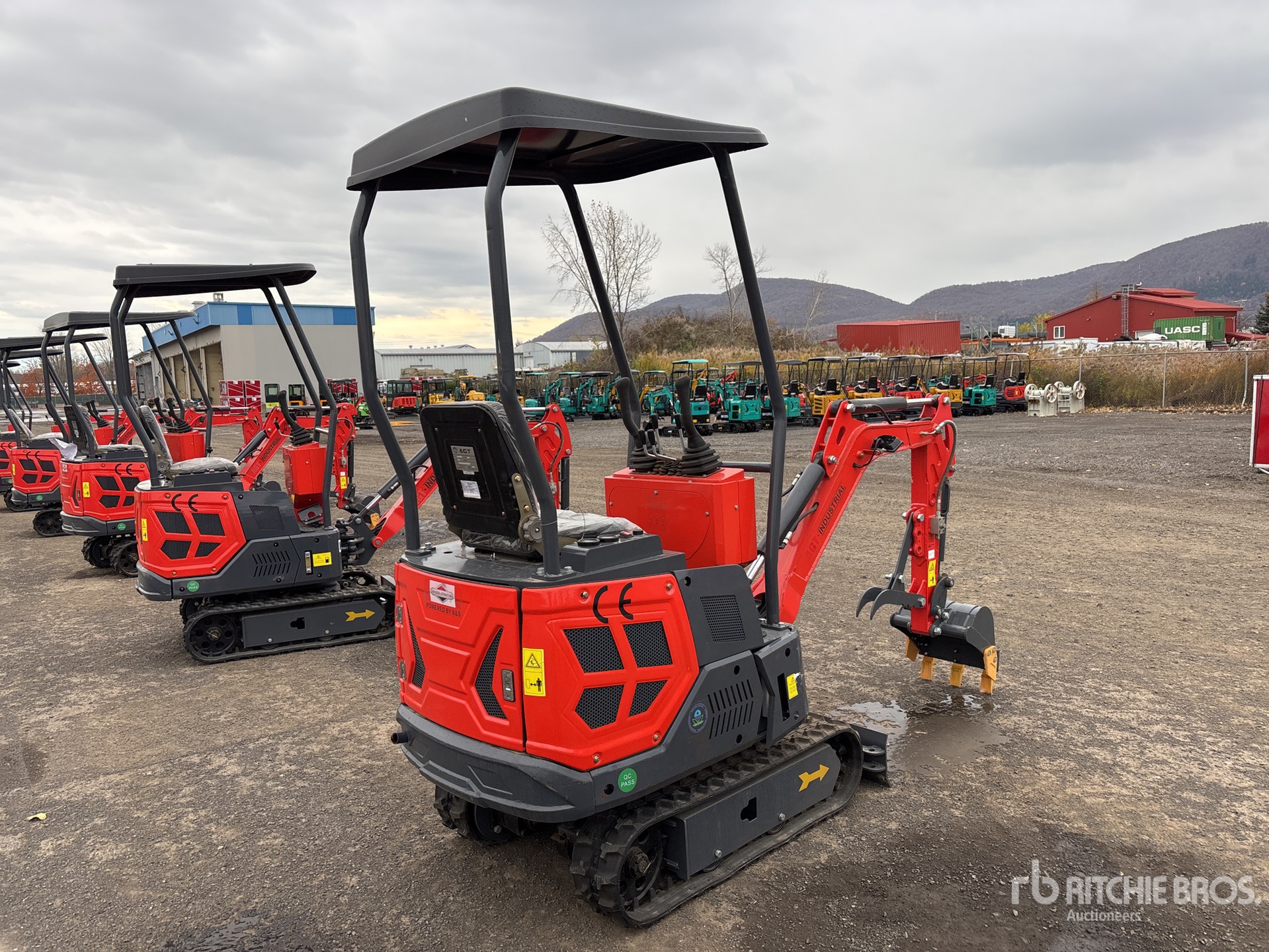 General Appearance with Zdjęcie, prawy dolny róg