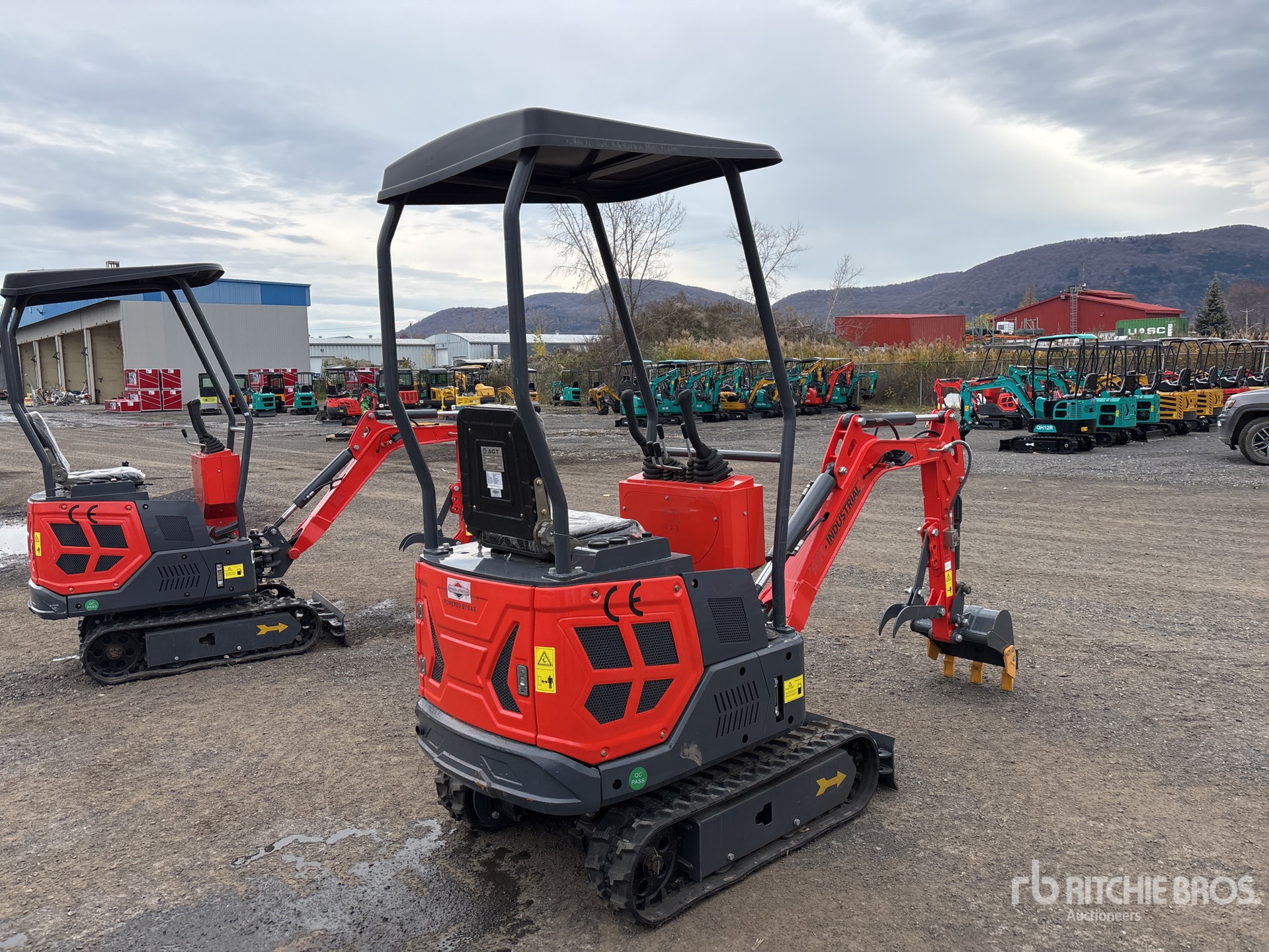 General Appearance with Zdjęcie, prawy dolny róg