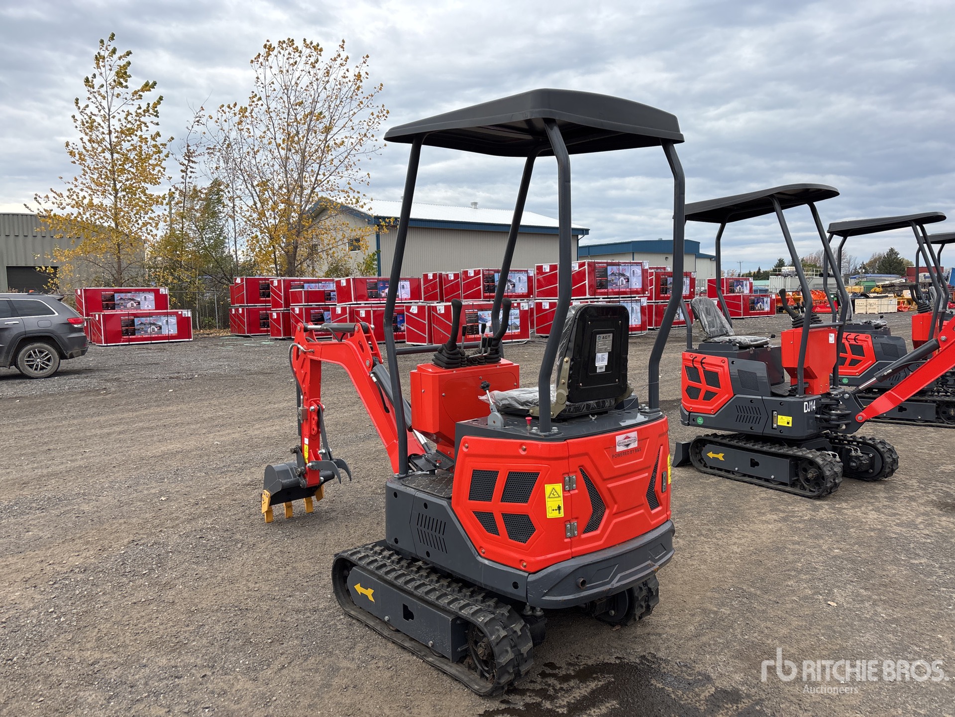 General Appearance with Zdjęcie, lewy dolny róg