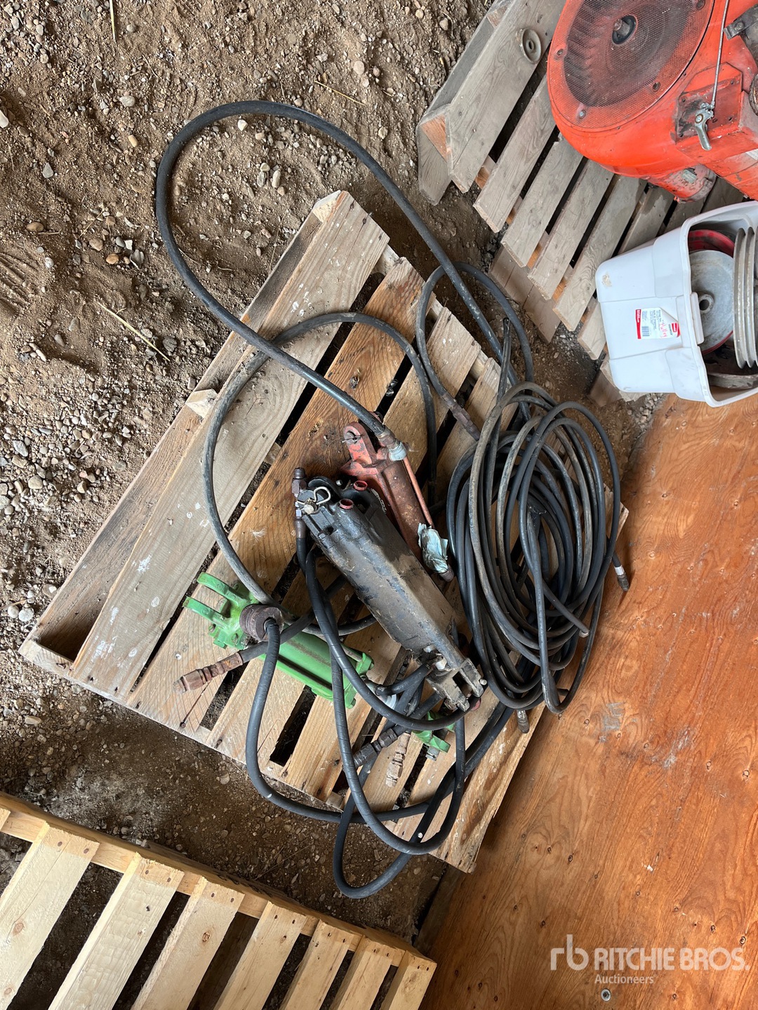 General Appearance with Zdjęcie, lewy górny róg