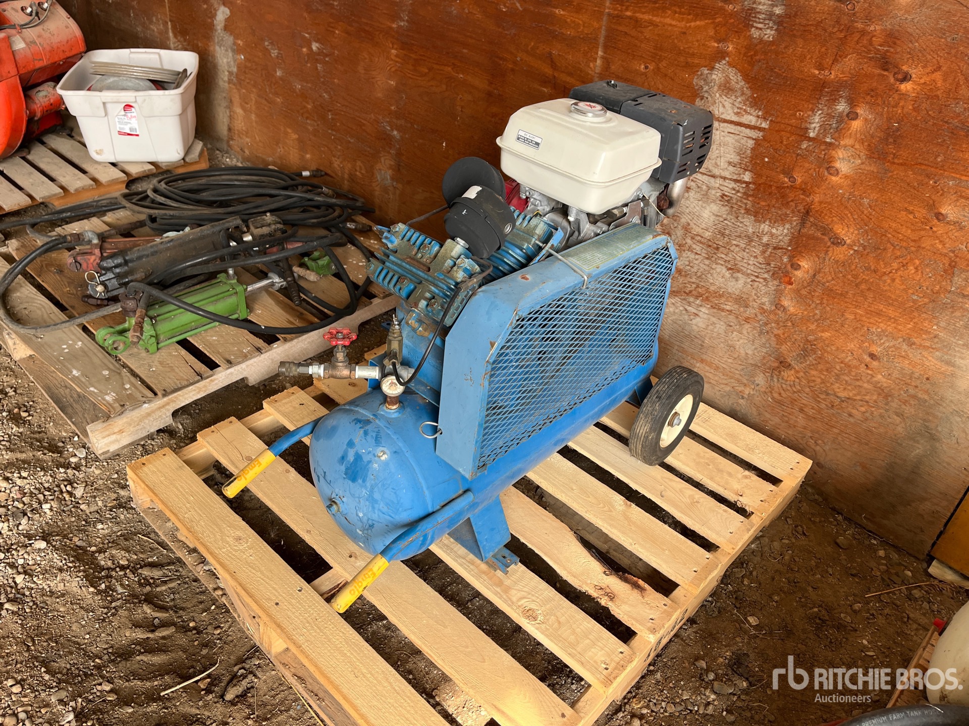 General Appearance with 