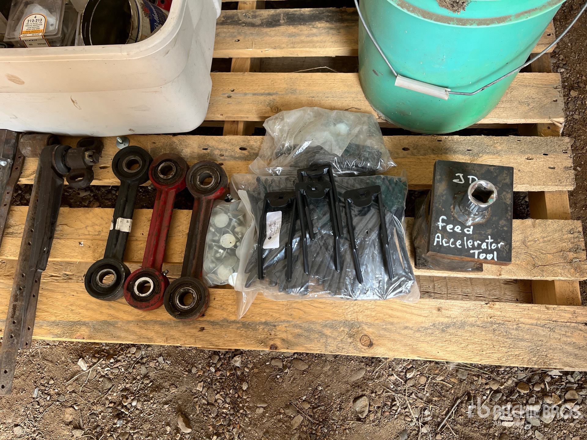 General Appearance with 