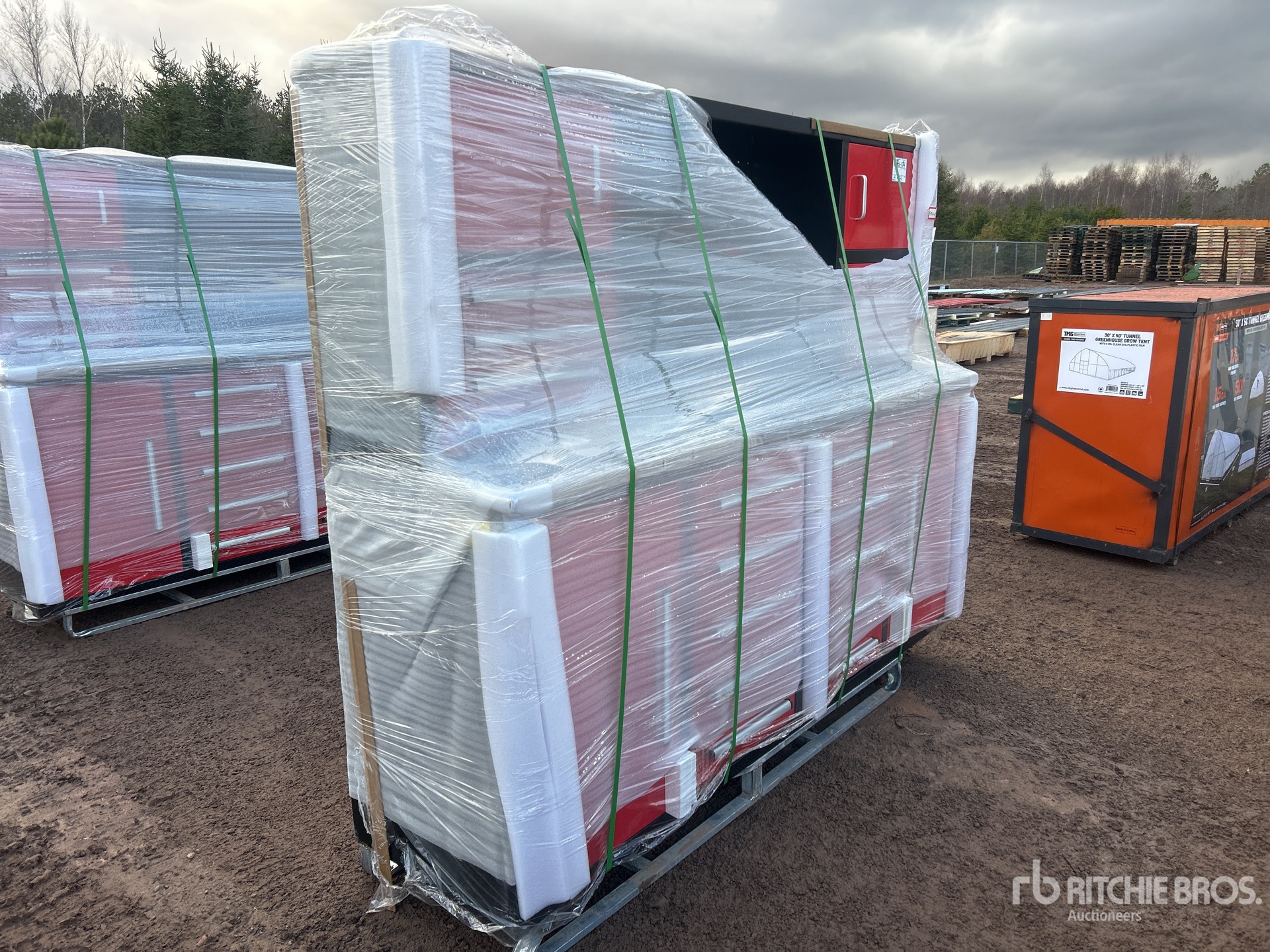 General Appearance with Picture, Right Front Corner