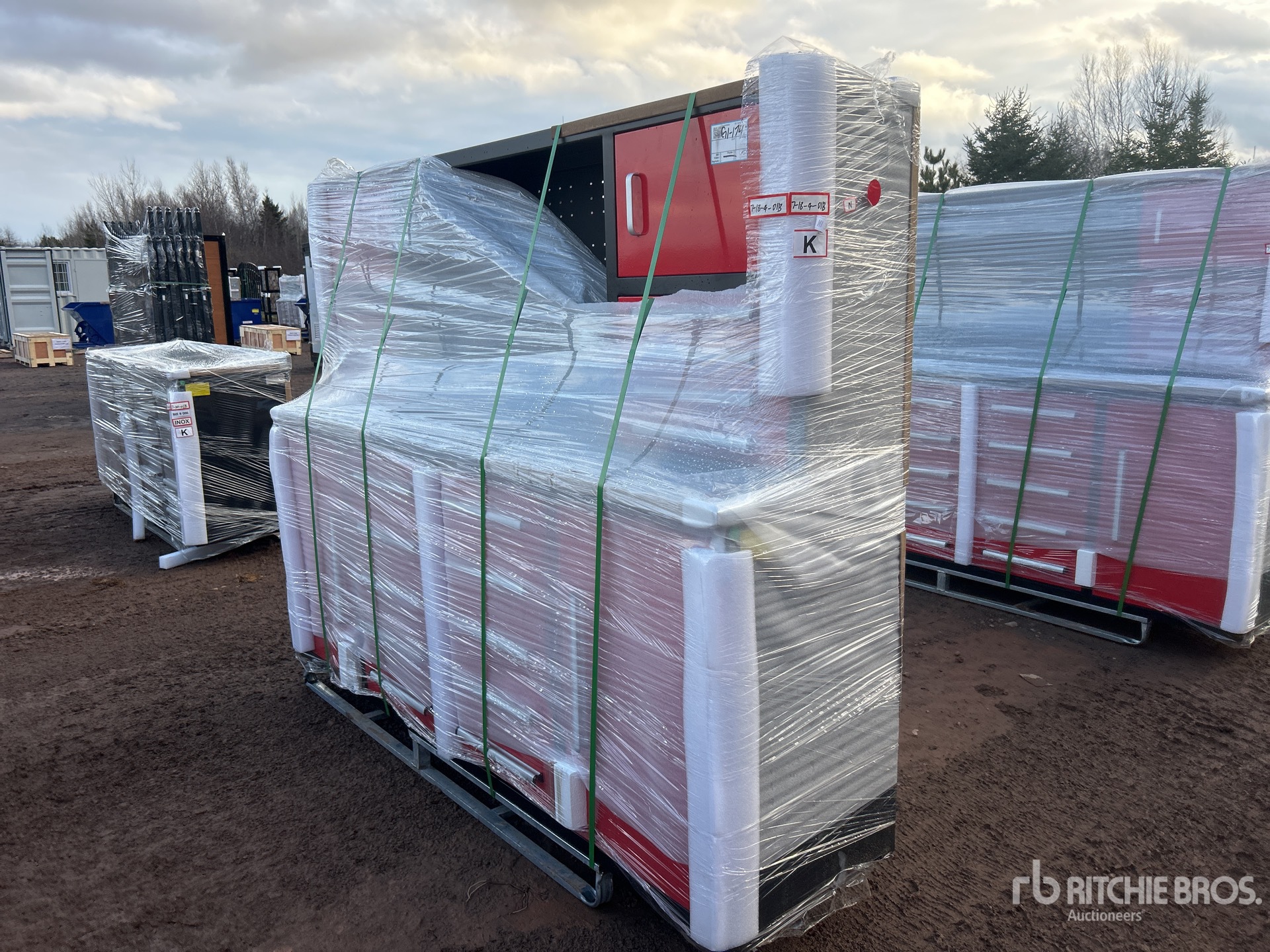 General Appearance with Picture, Left Front Corner