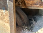 Undercarriage with 