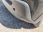 General Appearance with Paint