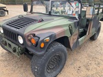 General Appearance with Paint