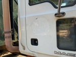 General Appearance with Pintura