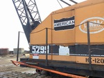 General Appearance with Paint