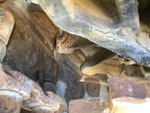 Undercarriage with Left Idler