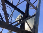 Crane Superstructure with Boom Angle Indicator