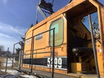 General Appearance with Paint