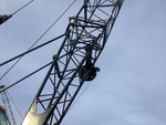 Crane Superstructure with Boom Length