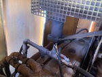 Engine with Exhaust System