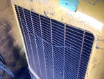 Engine with Radiator