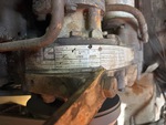 Engine with Emission Label
