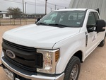 General Appearance with Pintura