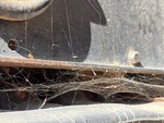 Undercarriage with Right Track Rollers