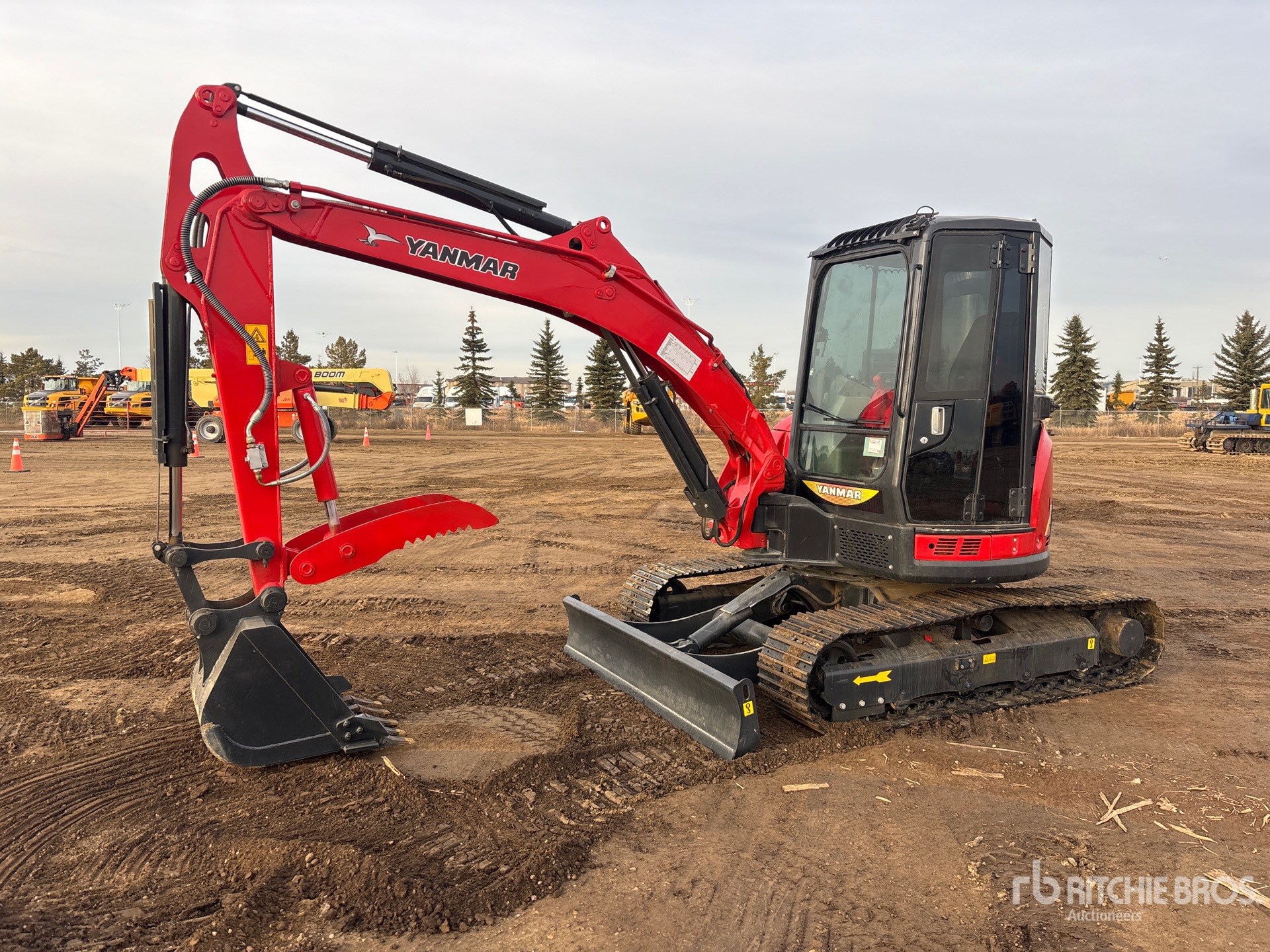 General Appearance with Spin