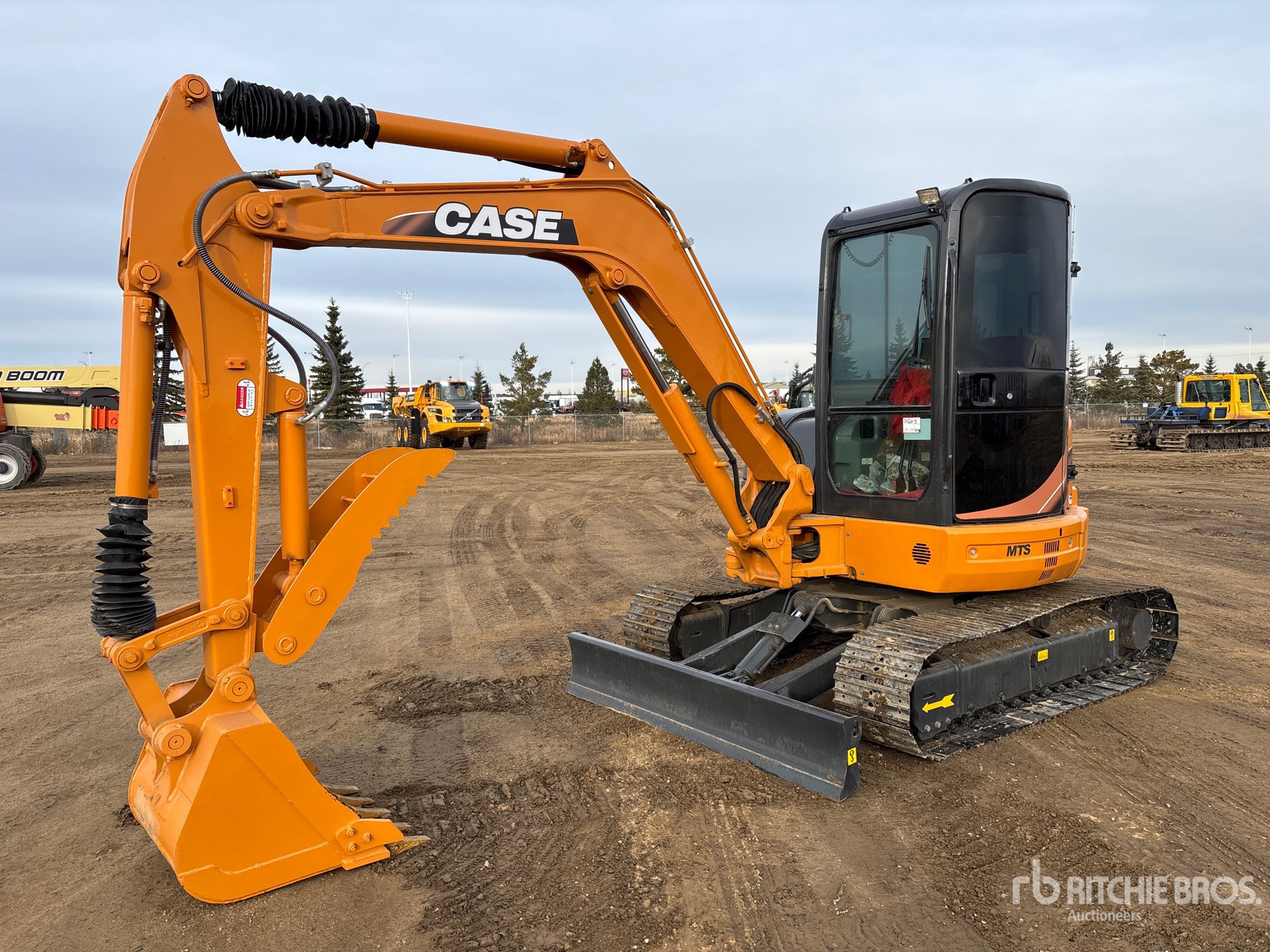 General Appearance with Spin