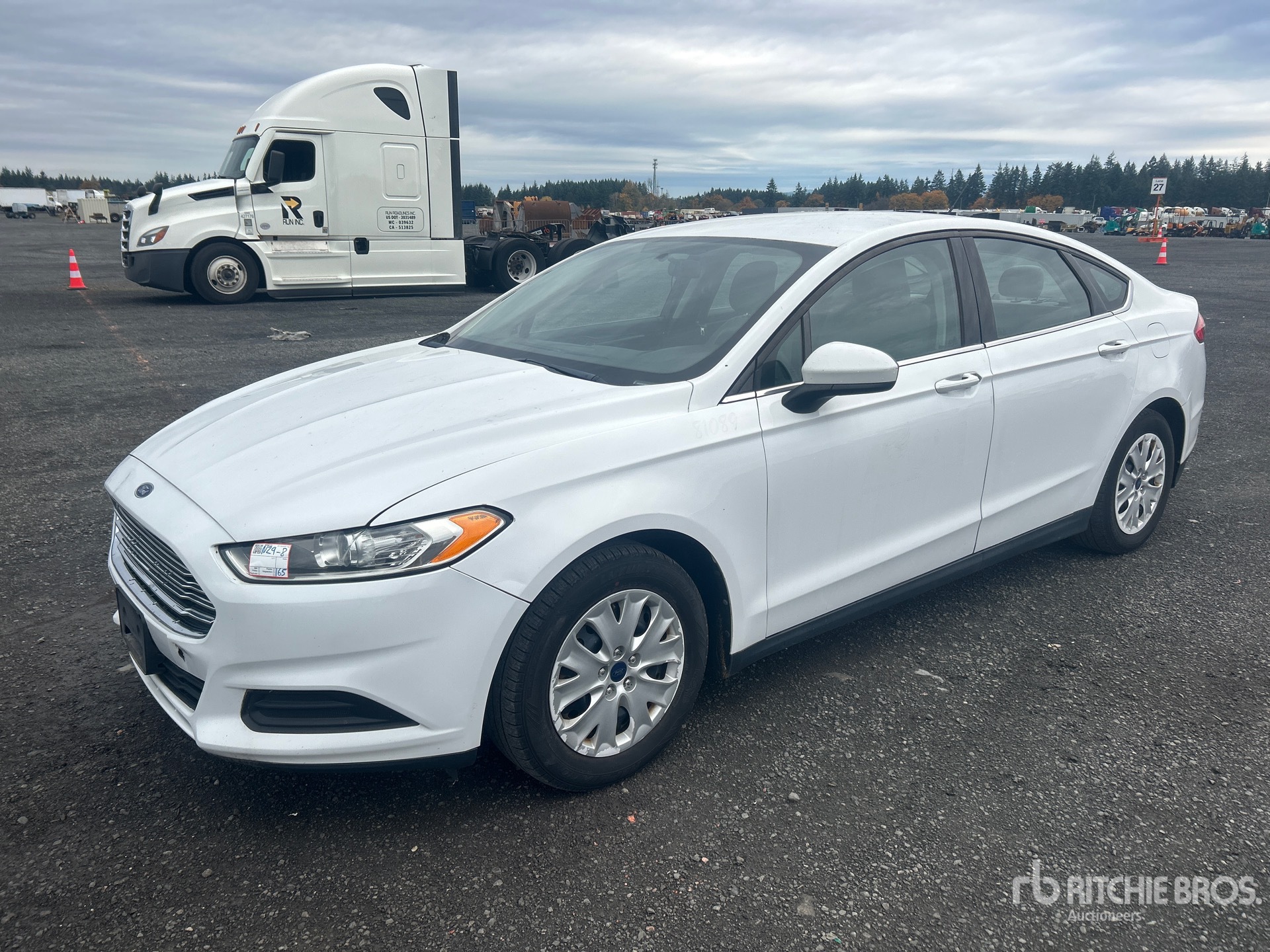 General Appearance with Spin