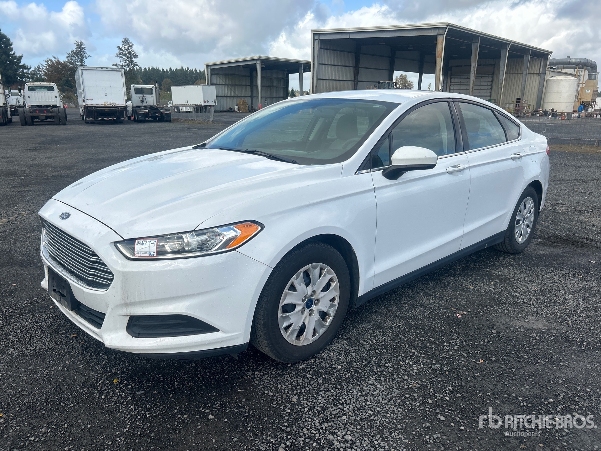 General Appearance with Spin