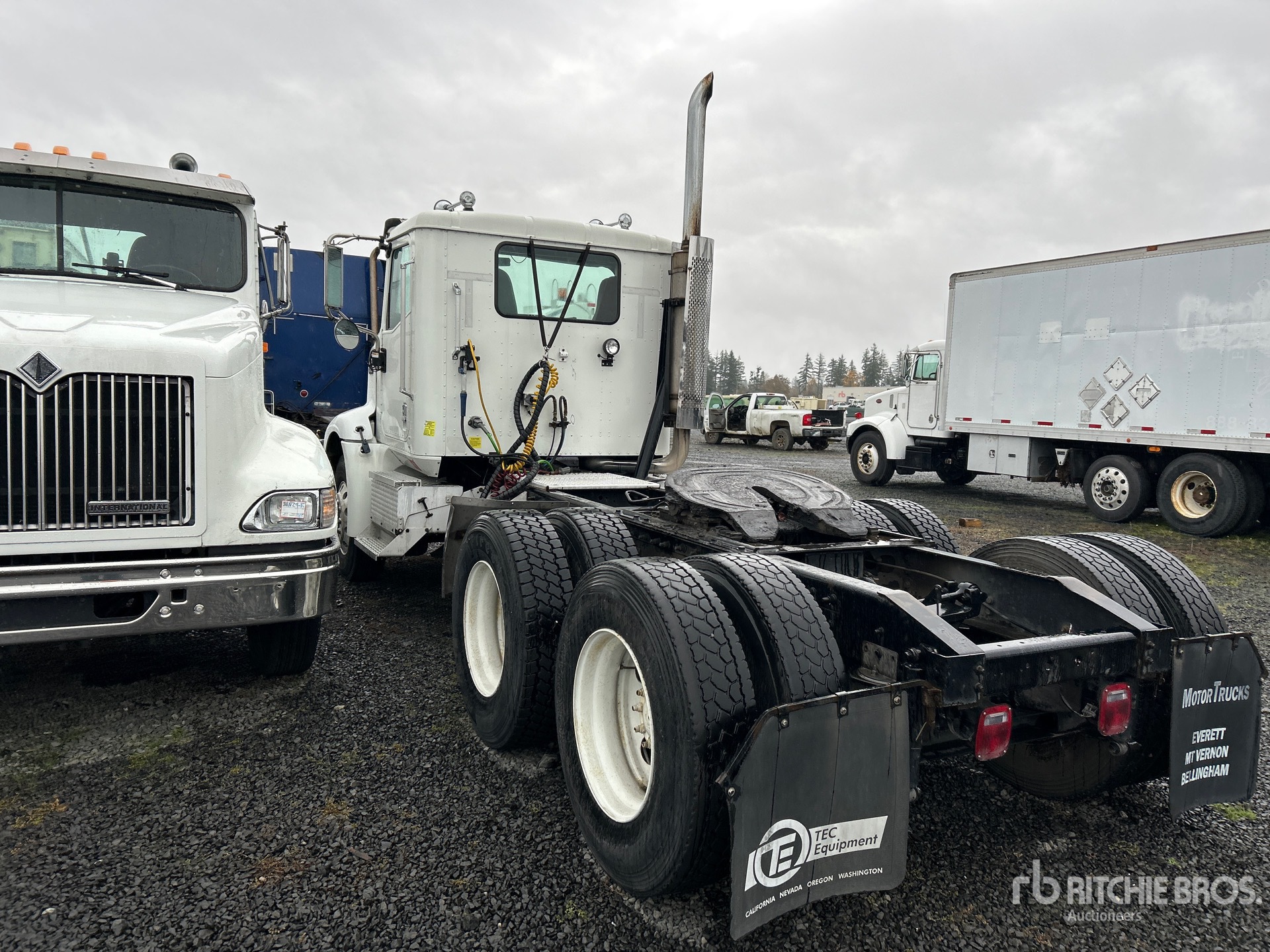 General Appearance with Zdjęcie, lewy dolny róg