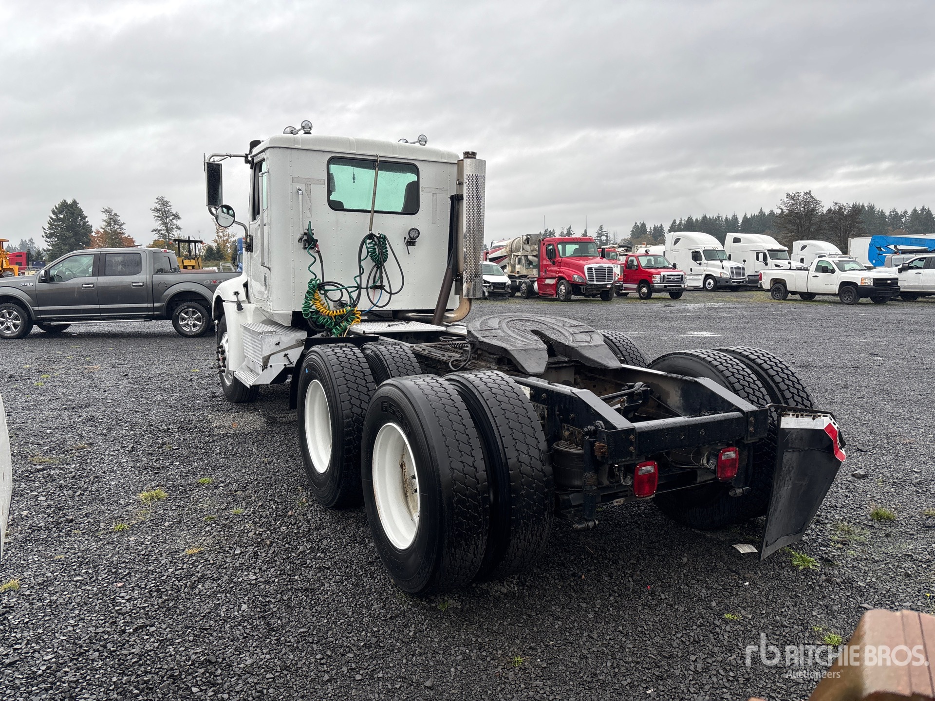 General Appearance with Zdjęcie, lewy dolny róg