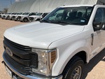 General Appearance with Paint