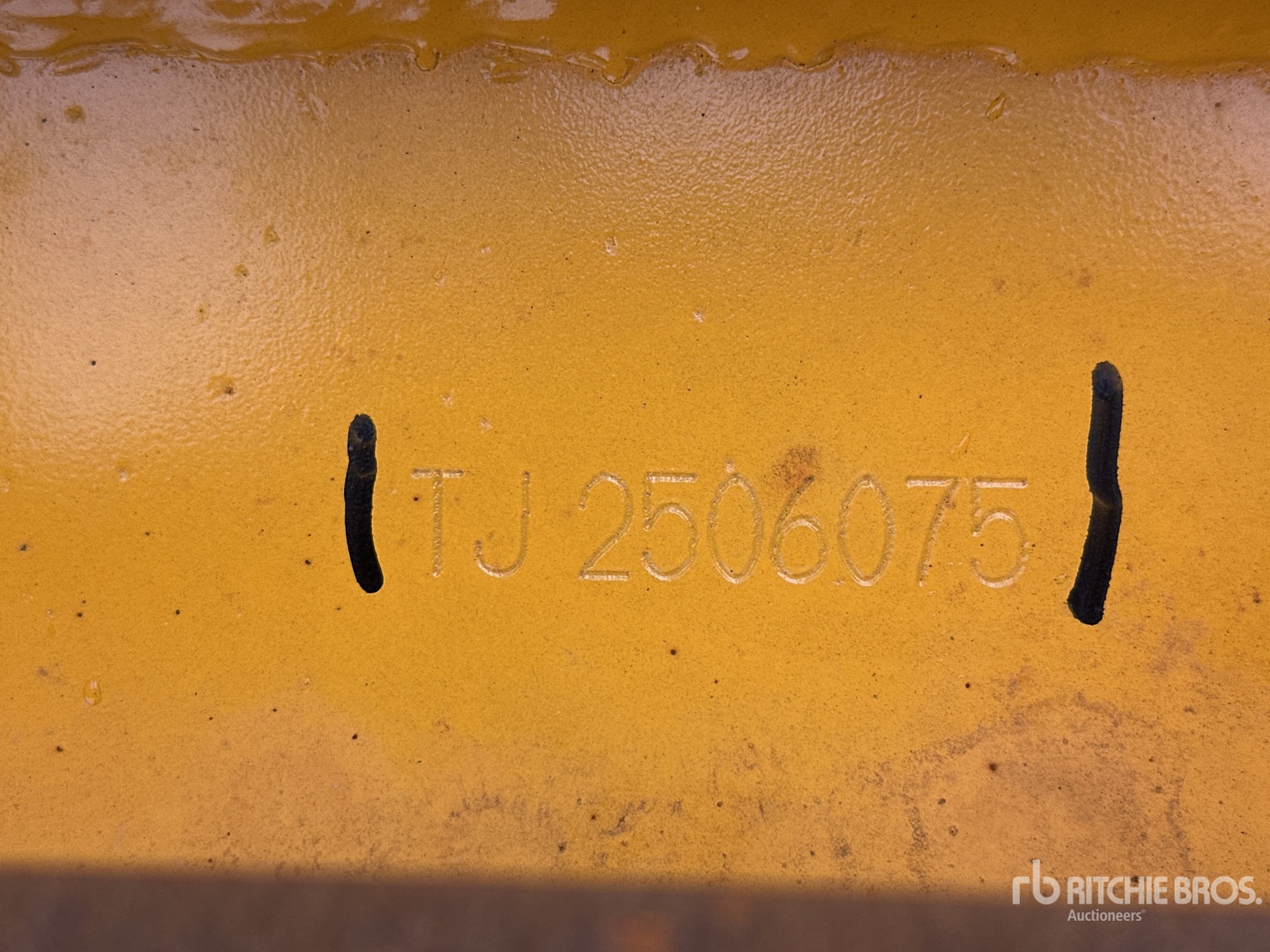 General Appearance with Numero seriale/numero d’identificazione del veicolo (VIN)