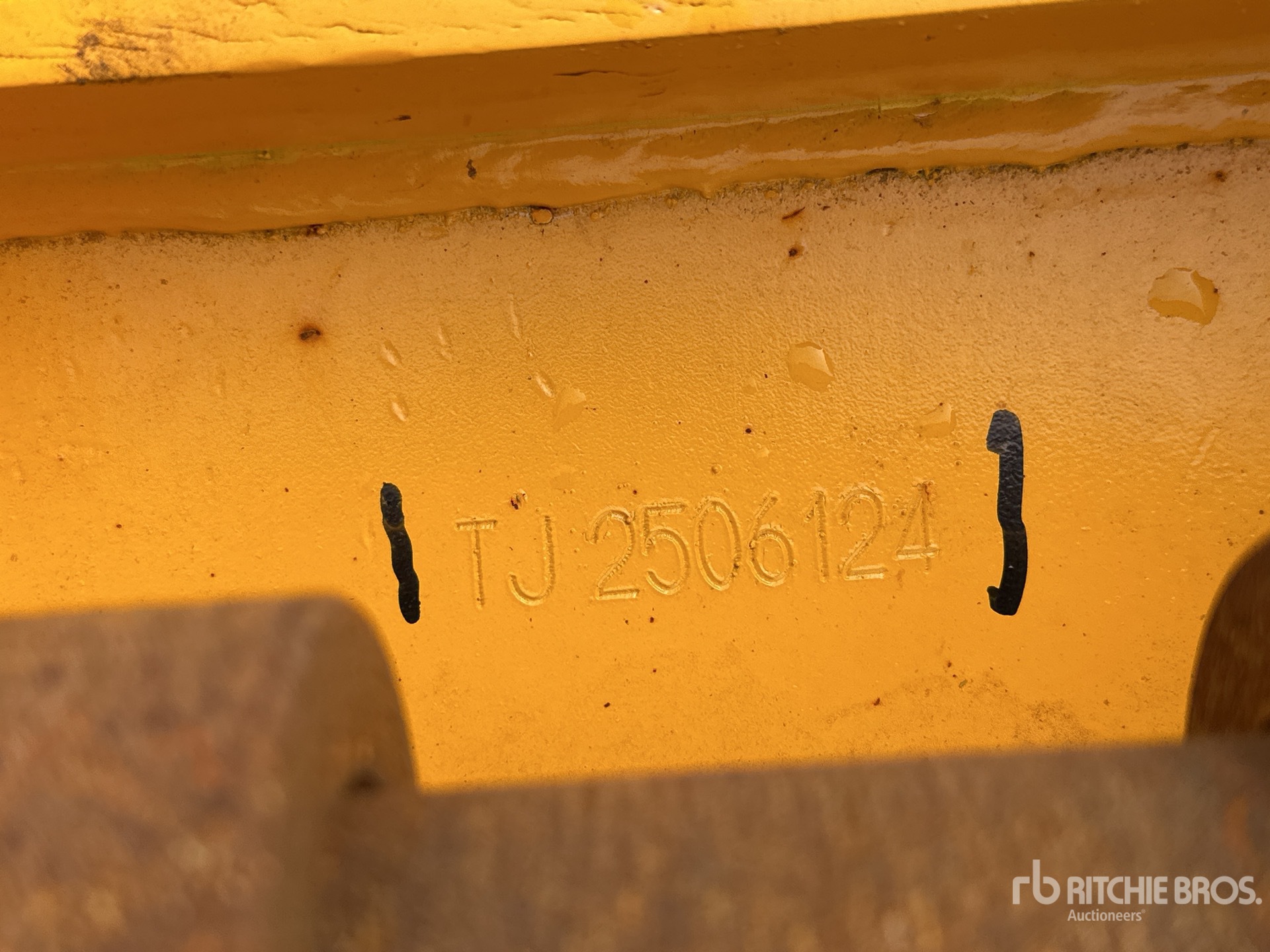 General Appearance with Numero seriale/numero d’identificazione del veicolo (VIN)