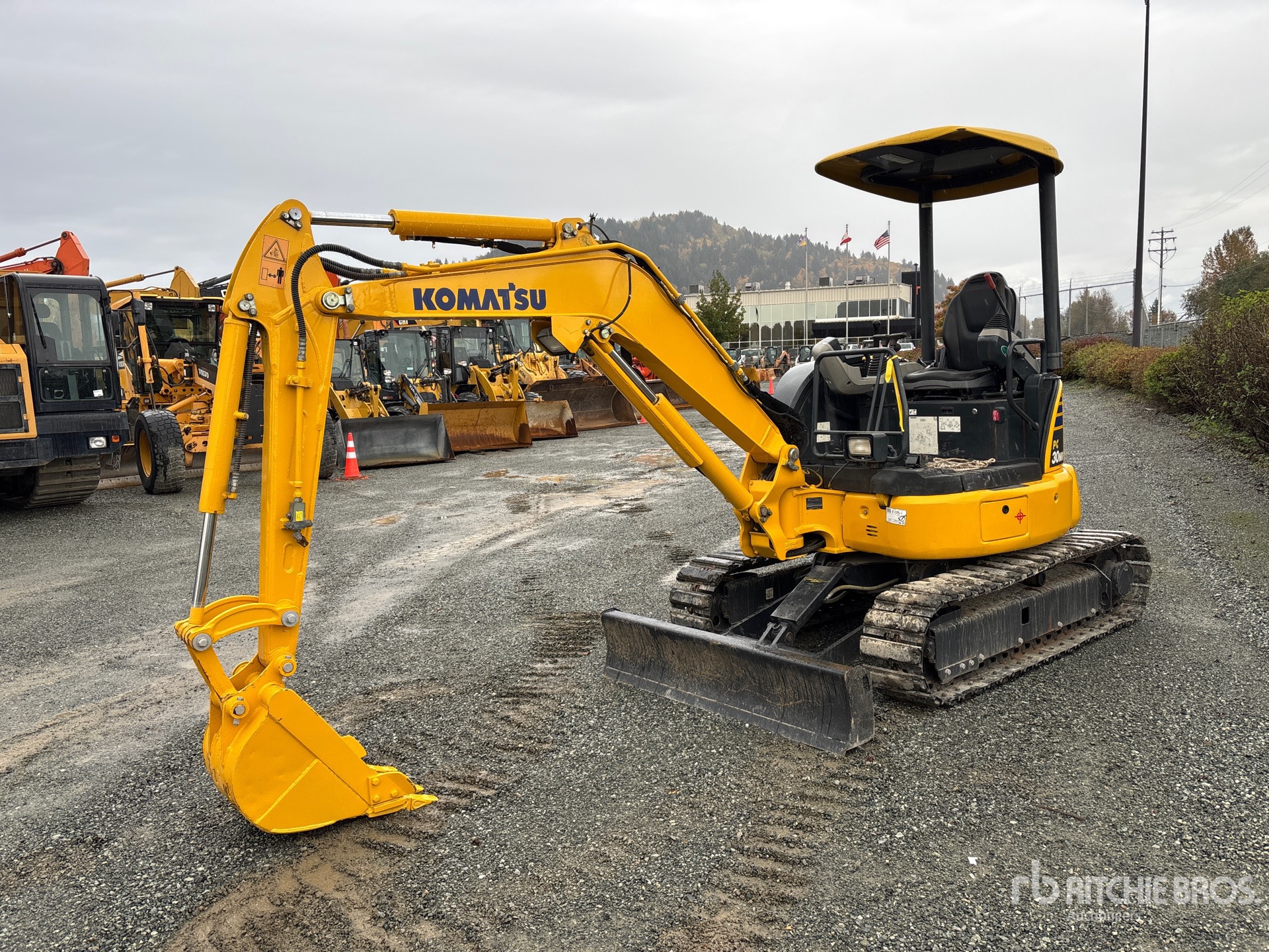 General Appearance with Spin