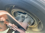 Brakes with 