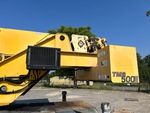 General Appearance with Paint