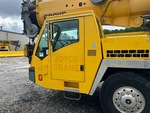 General Appearance with Paint