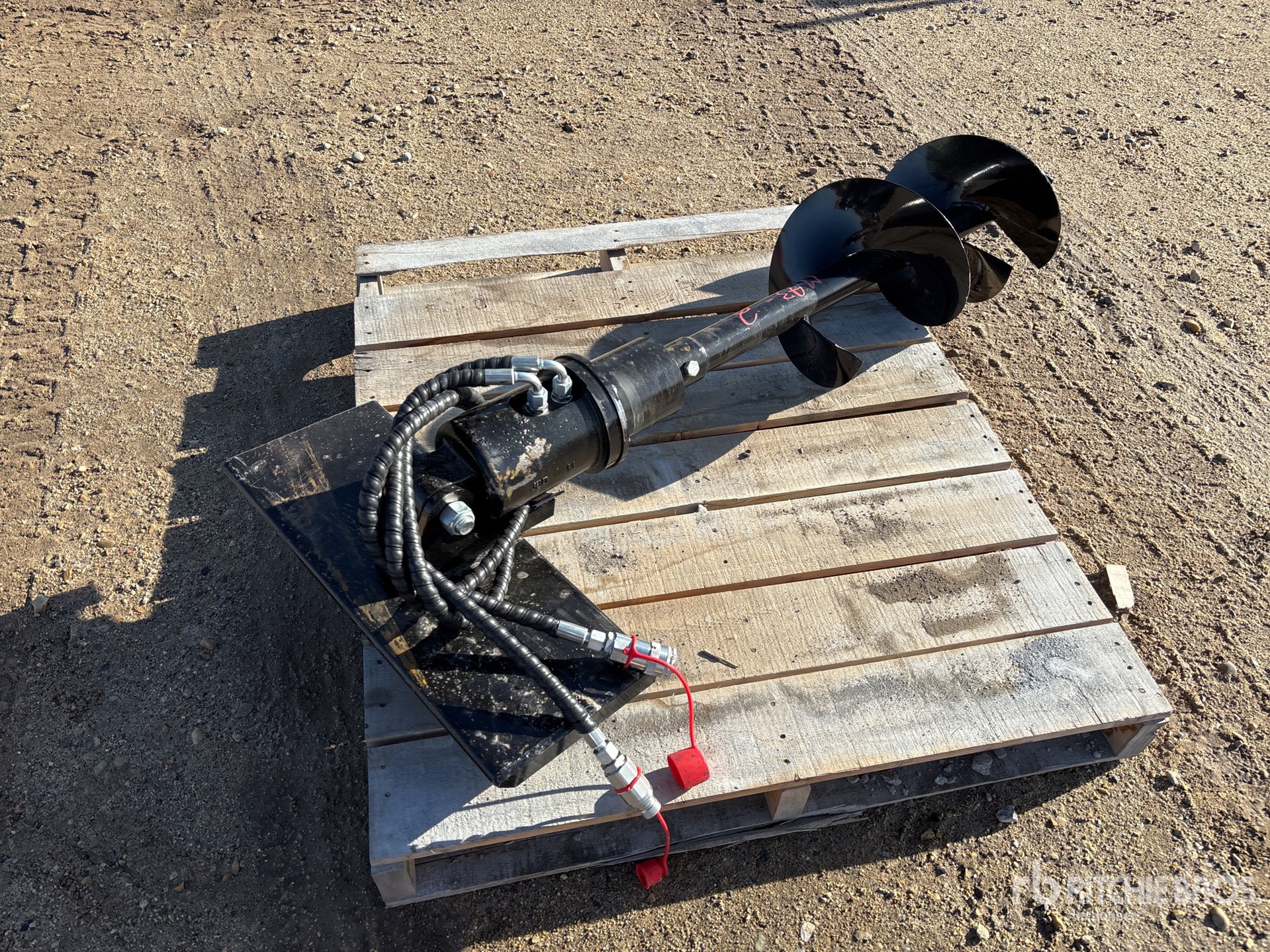 General Appearance with Image, coin arrière droit